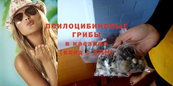 твердый Семёнов