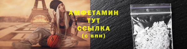 прущие грибы Семикаракорск