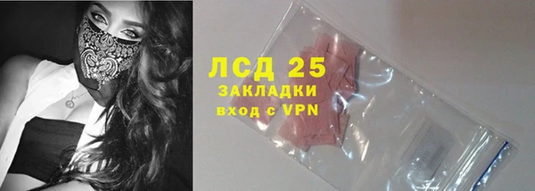 прущие грибы Семикаракорск