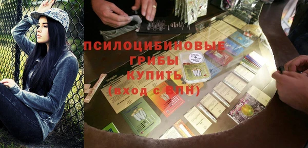 шишки Семилуки