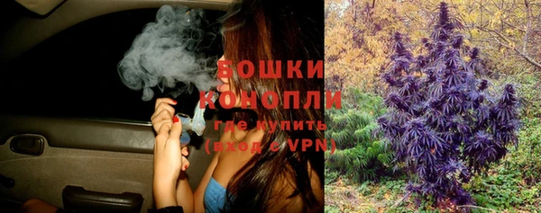 шишки Семилуки