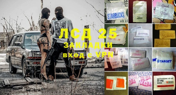 шишки Семилуки