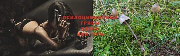 твердый Семёнов