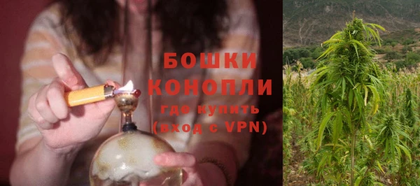 шишки Семилуки