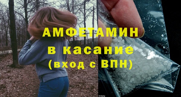 прущие грибы Семикаракорск