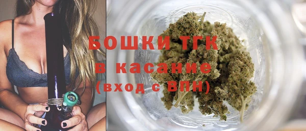 прущие грибы Семикаракорск