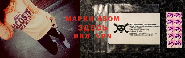прущие грибы Семикаракорск