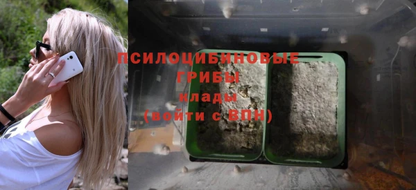 твердый Семёнов