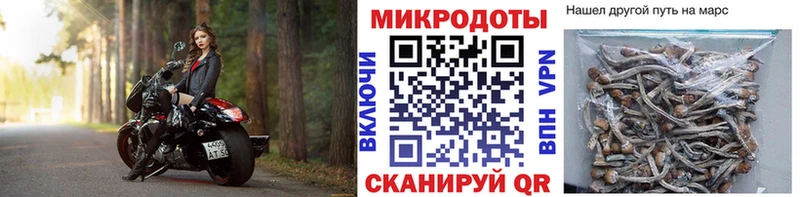 сколько стоит Тында Галлюциногенные грибы GOLDEN TEACHER