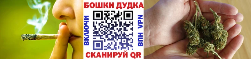Конопля ГИДРОПОН  Тында 